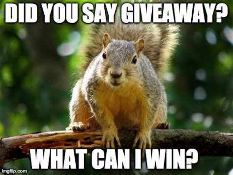 picture showing a funny looking squirrel representing a debtor
